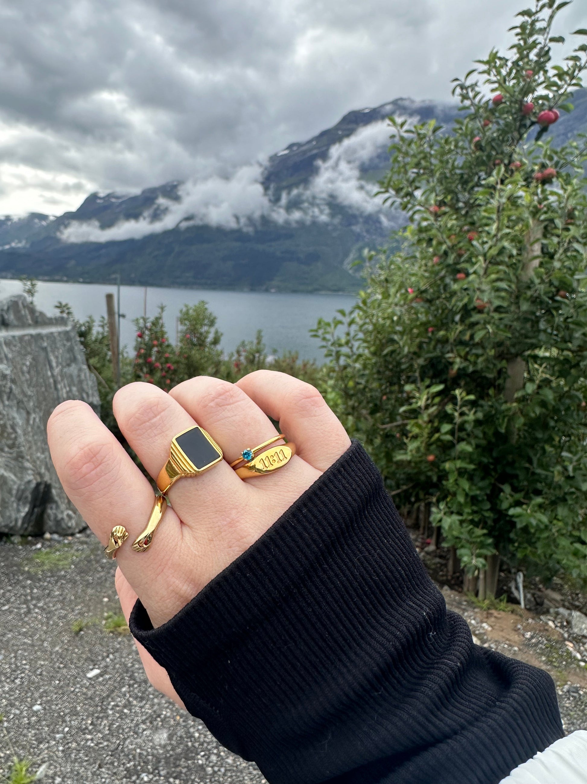 DRIP JEWELRY Black Vintage Power Ring